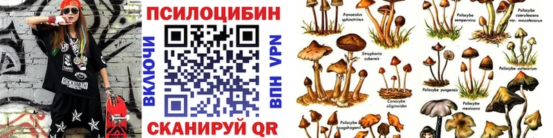 Галлюциногенные грибы Psilocybine cubensis  купить   Качканар 