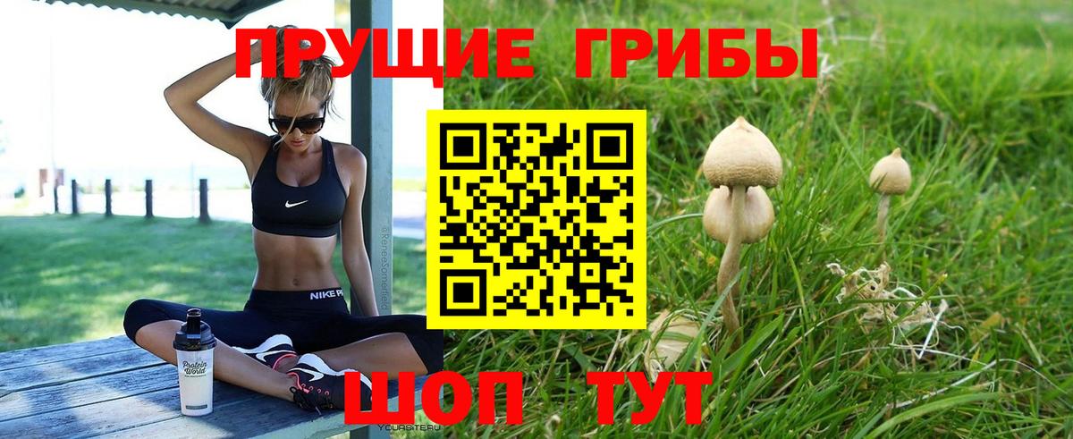 Галлюциногенные грибы Psilocybe  Вход с VPN  Качканар  Галлюциногенные грибы GOLDEN TEACHER 