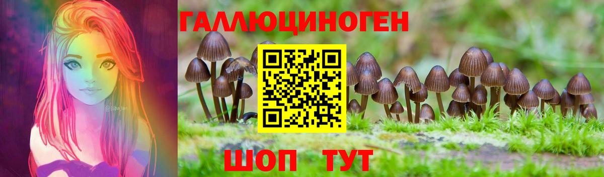 Галлюциногенные грибы ЛСД Качканар